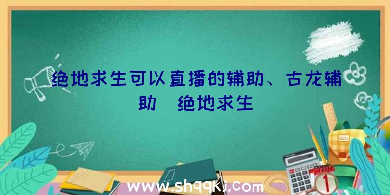 绝地求生可以直播的辅助、古龙辅助